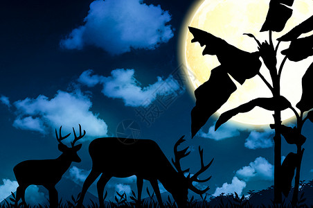 鹿的剪影月光下的鹿背景
