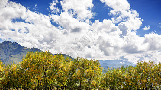 西藏的蓝天白云和草地高清图片