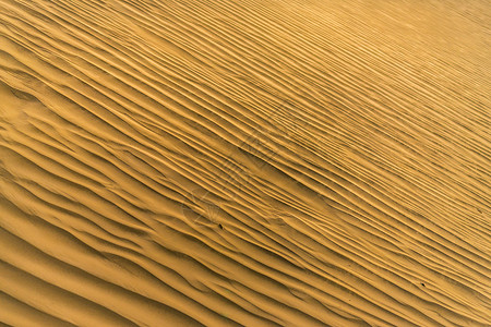 新疆古生态园塔克拉玛干沙漠背景