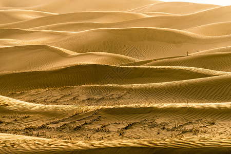 黄色线条对话框塔克拉玛干沙漠背景