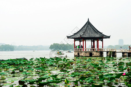 荷叶下吃西瓜雾霾下的大明湖与亭子背景