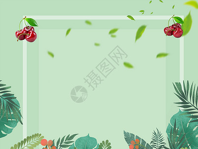 薄荷水果绿色背景设计图片