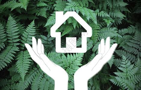 呵护绿色家庭保险设计图片