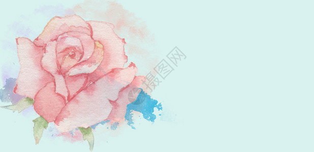 绿色玫瑰花朵背景设计图片