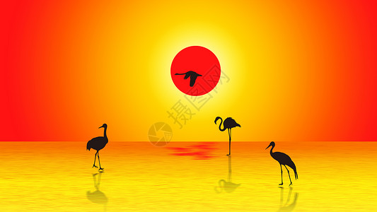 阳光下的湖面夕阳下的鹤背景
