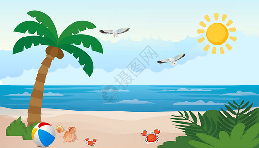 海鸥与海风景图炎热的夏天设计图片