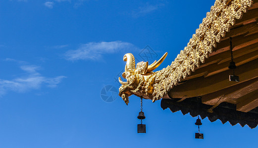 龙形飞檐寺庙的龙头飞檐背景