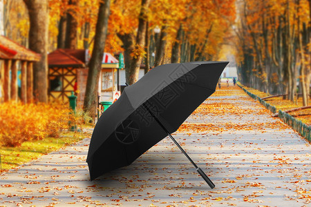 雨伞秋天下雨高清图片