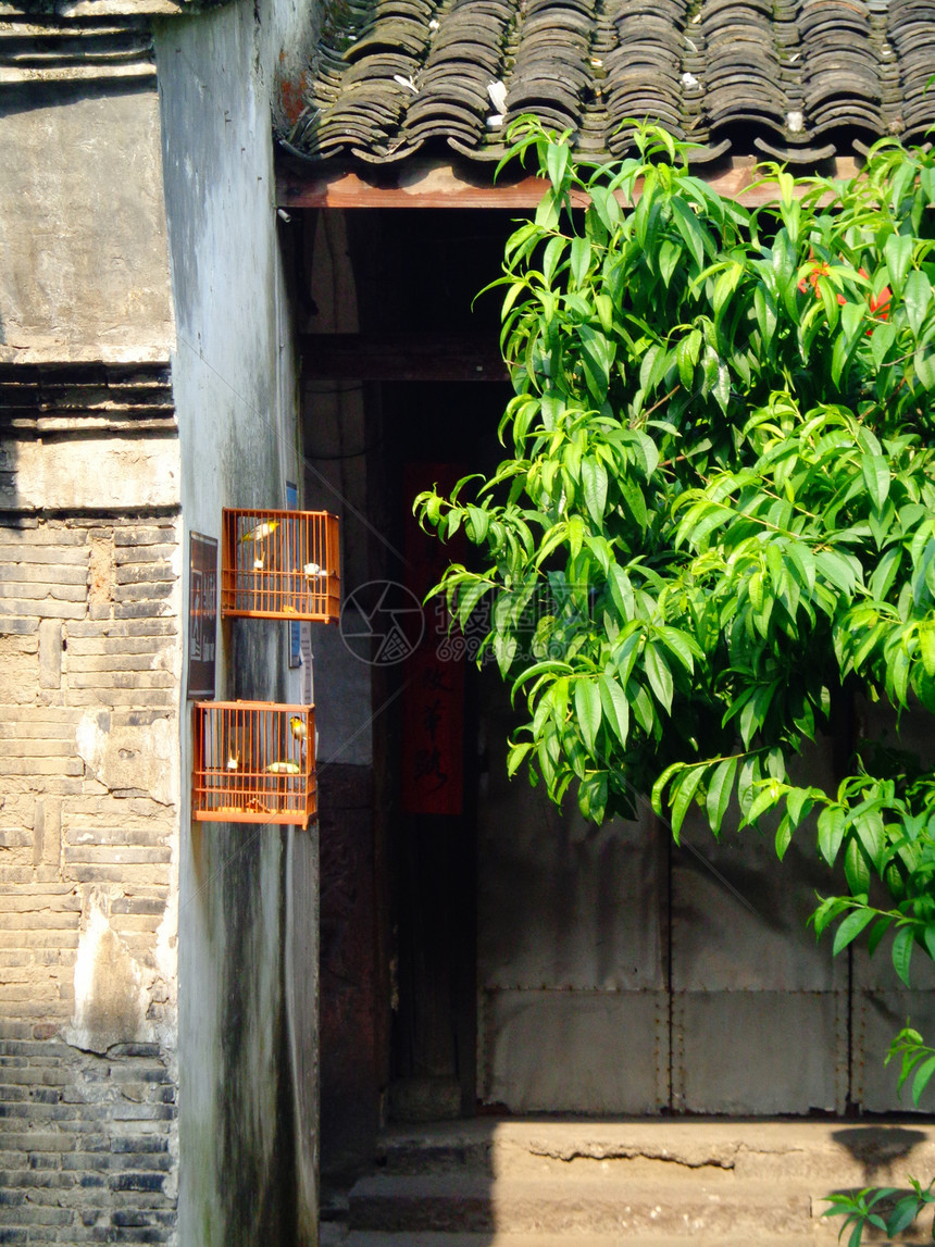 古镇的鸟笼与树木图片