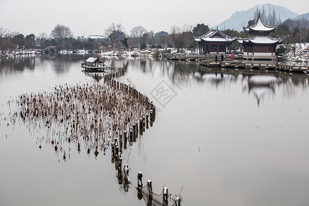湘湖冬景背景图片