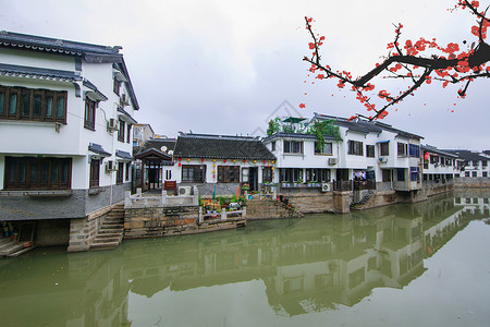 小鸟和桃花中国风水墨画设计图片