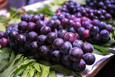 葡萄酸酸甜甜紫色布高清图片