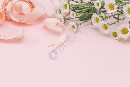 菊花元素粉色雏菊丝带背景元素留白背景