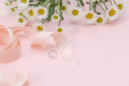 花朵组合元素粉色雏菊丝带背景元素留白背景