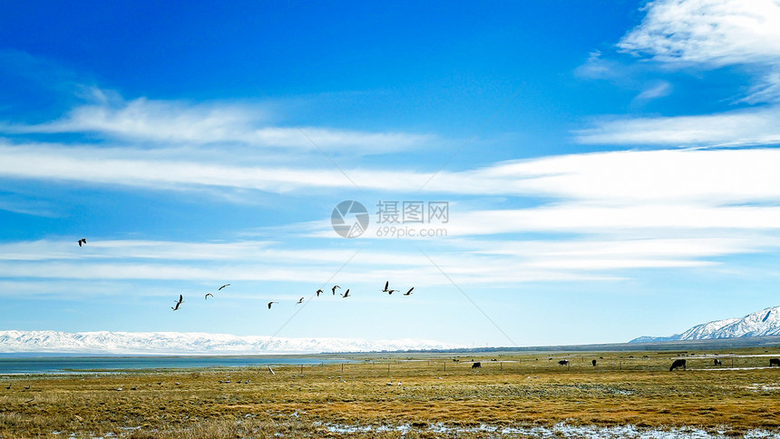 新疆巴里坤湖图片