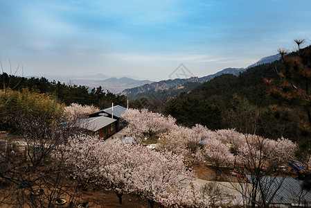 日本浪漫崂山九水风景区背景