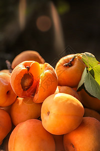 黄杏夏日水果诱人多汁黄桃背景