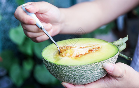 夏日水果哈密瓜夏日冰爽的哈密瓜背景