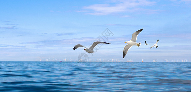 日落西山的景色海上的海鸥设计图片
