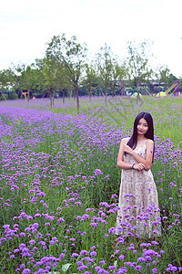 上海薰衣草园的美女写真高清图片