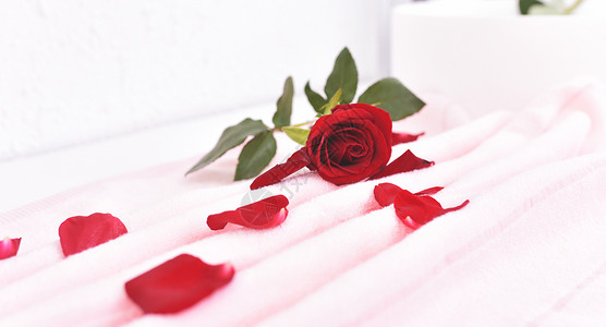 红玫瑰素材背景图片