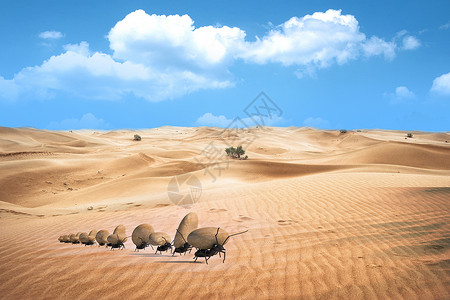 无尽沙漠沙丘负重前行设计图片
