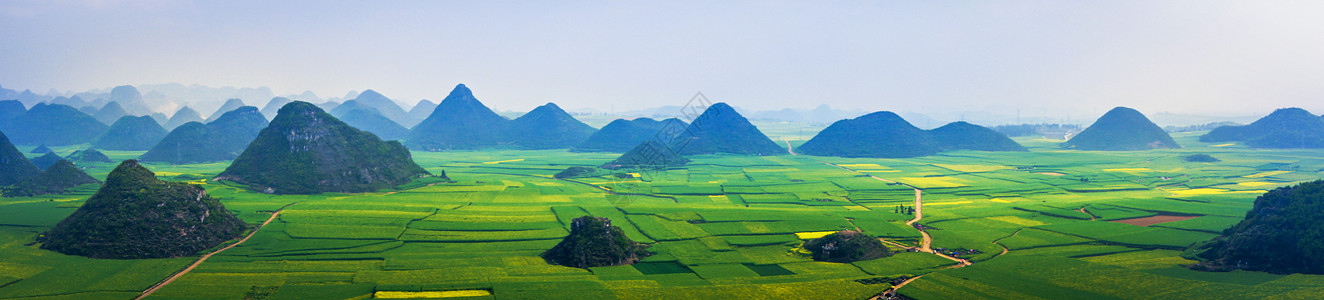 罗平金鸡岭背景