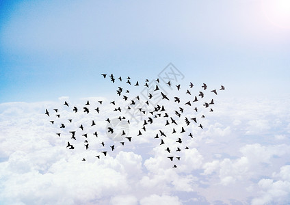 飞翔的小鸟创意大雁背景设计图片