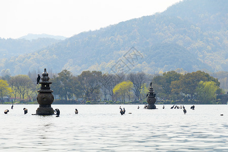 三潭映月杭州西湖风景高清图片