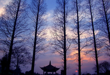 广福寺无锡太湖黄昏风景背景