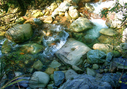 小溪和石头图片