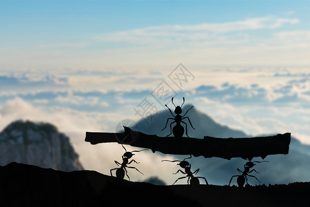 山蚂蚁蛋蚂蚁创意设计图片