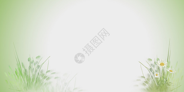 一朵白色菊花清新背景设计图片