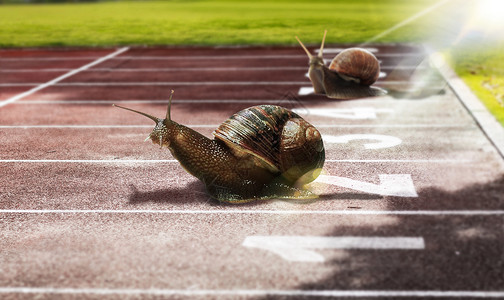 草坪悬跑道上的蜗牛设计图片
