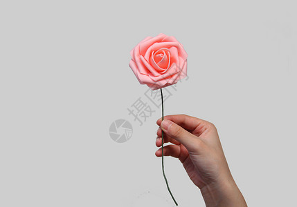 手拿玫瑰花背景素材高清图片
