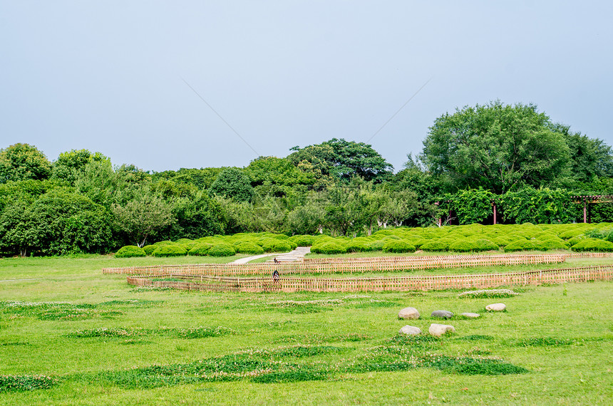 夏日风景图片