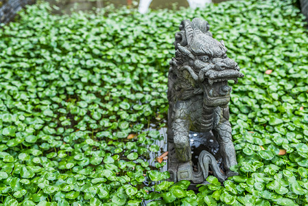 绿色植被装饰中国传统石雕狮子背景