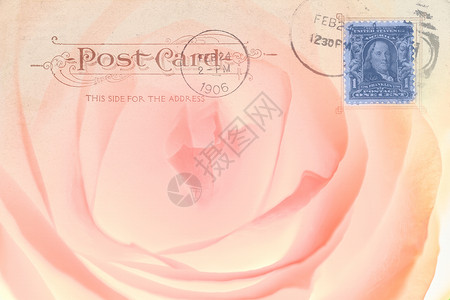 兔年邮票邮戳玫瑰明信片背景
