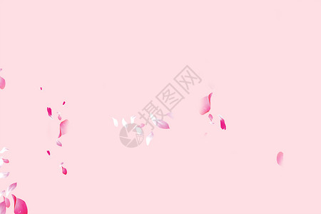 淡粉色花朵墙纸花瓣背景设计图片