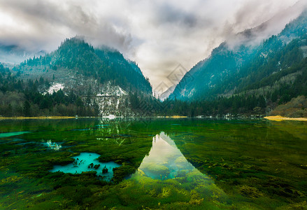 保护大气九寨沟孔雀海倒影背景