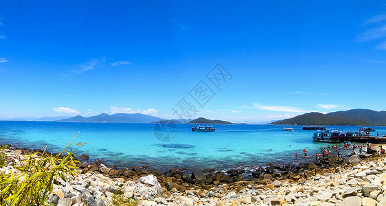 海边沙滩森林海边背景