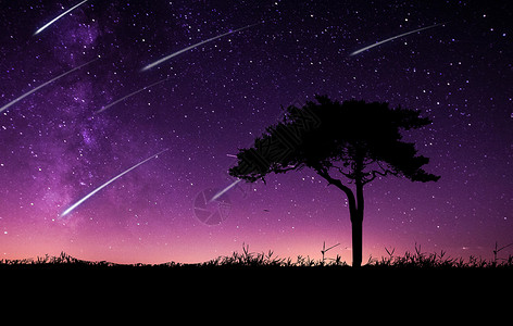 树黄昏夜晚的流星雨设计图片