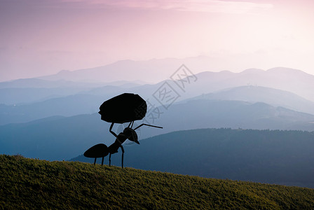 坚强的蚂蚁渐变空山基高清图片