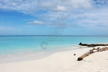 夏日手绘椰子树海南夏日风景背景