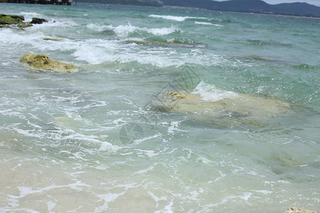 海南的夏天图片