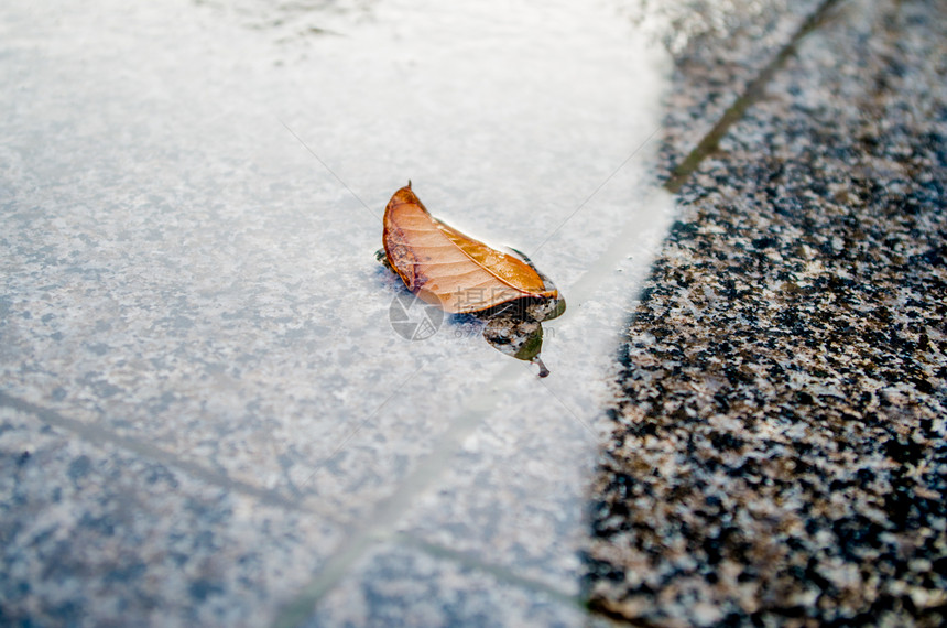 被夏季太阳雨浇灌的万物图片