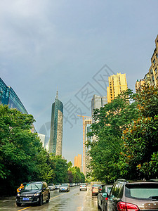 水善利万物被夏季太阳雨浇灌的万物背景