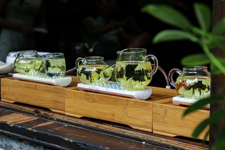 茉莉花茶花毛峰毛峰花高清图片