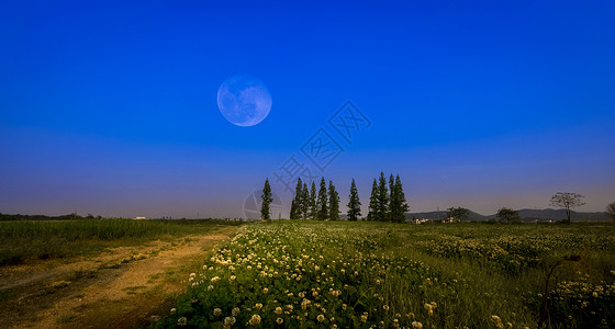 草场静夜蓝色静夜高清图片