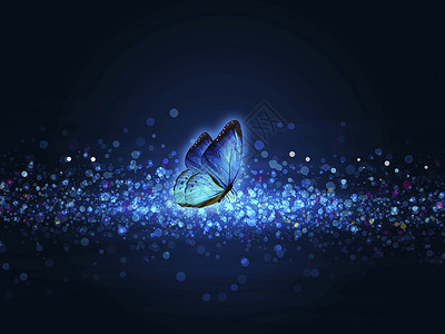 童话经典素材蓝色蝴蝶设计图片